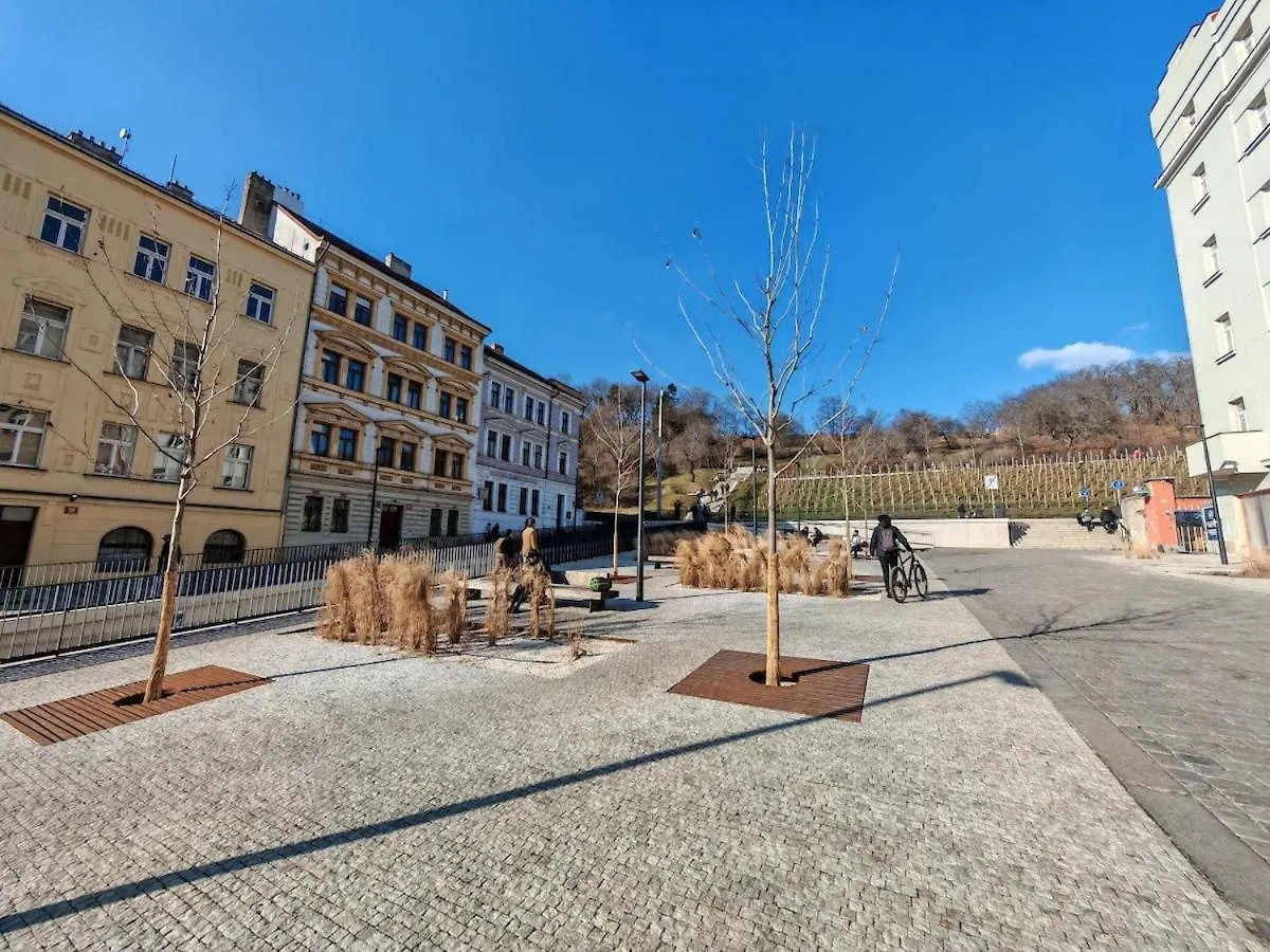 Flat In Zizkov -101- Apartment Prague